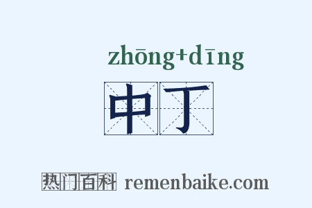 中丁是什么意思的图片